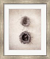 Framed Nest IV