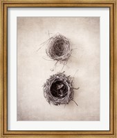 Framed Nest IV