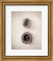 Framed Nest IV