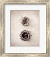 Framed Nest IV