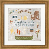 Framed 'Summer Sunshine II' border=