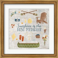 Framed Summer Sunshine II