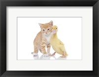 Framed Kittens 18
