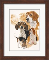 Framed Beagle and Ghost Image