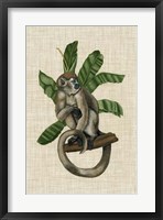 Framed Canopy Monkey I