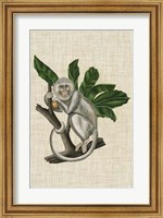 Framed Canopy Monkey II