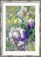 Framed Spring at Giverny I
