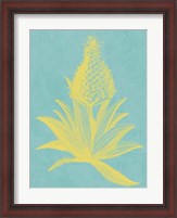 Framed Pineapple Frais I