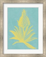 Framed Pineapple Frais I