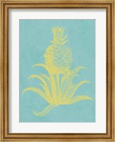 Framed Pineapple Frais II