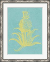 Framed Pineapple Frais II