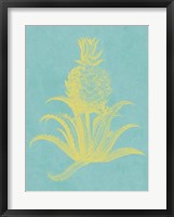 Framed Pineapple Frais II