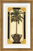 Framed Peaceful Palm I