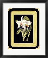 Framed Orchids on Black I