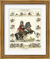 Framed Equestrian Display I