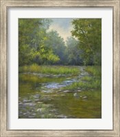 Framed O'Bannon Creek