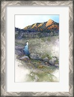 Framed Flatirons Sunrise - Boulder, Co.