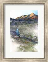 Framed Flatirons Sunrise - Boulder, Co.