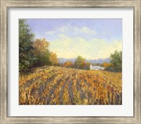 Framed Corn Rows