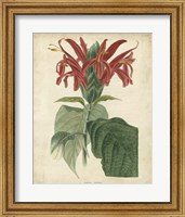 Framed Tropical Floral V
