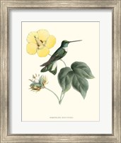 Framed Hummingbird & Bloom I