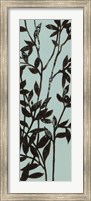 Framed Ebony Eucalyptus on Blue II