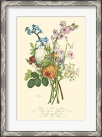 Framed Plentiful Bouquet IV