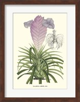 Framed Lavender Orchids III