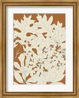 Framed Leaves from Nature II