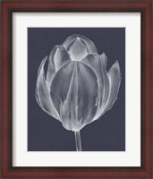 Framed Monochrome Tulip I
