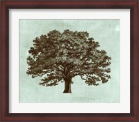 Framed Spa Tree I