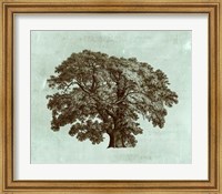 Framed Spa Tree II