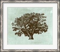 Framed Spa Tree IV