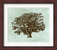 Framed Spa Tree IV