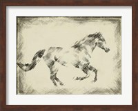 Framed Equine Study I