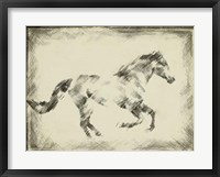 Framed Equine Study I