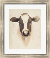Framed Watercolor Animal Study VII