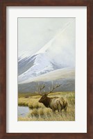 Framed Autumn Uprights, Elk
