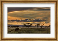 Framed Africa