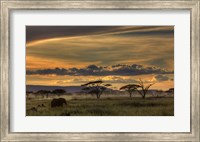 Framed Africa
