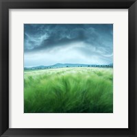 Framed Barley Field
