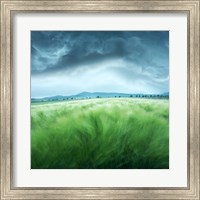 Framed Barley Field