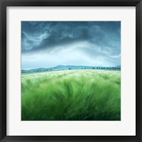 Framed Barley Field