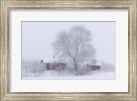 Framed Winter Idyll