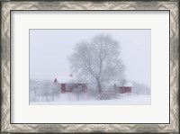Framed Winter Idyll