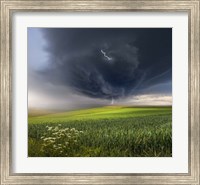 Framed June Storm