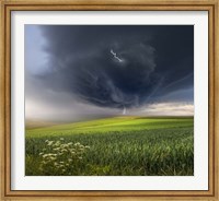 Framed June Storm