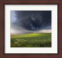 Framed June Storm