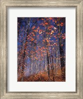 Framed Autumn Leaves