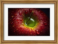 Framed Red Apple